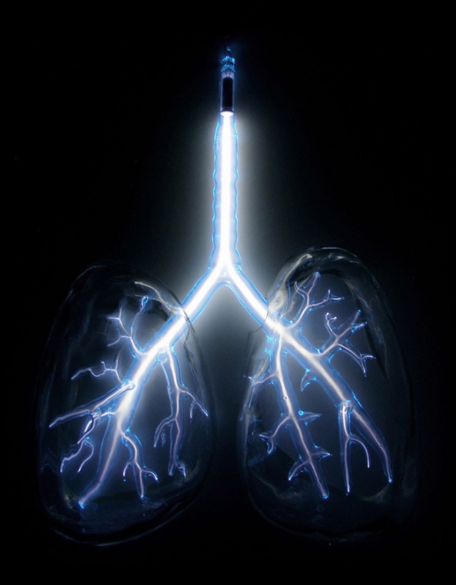 ElectricLungsWeb